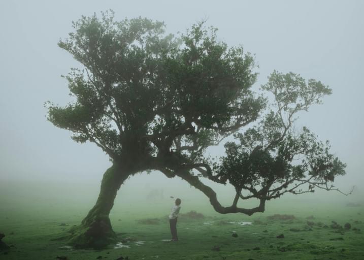 MIUT track 27 - Photo 1